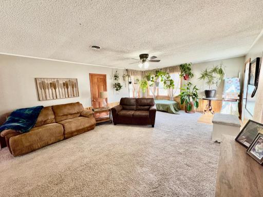 Spacious living room