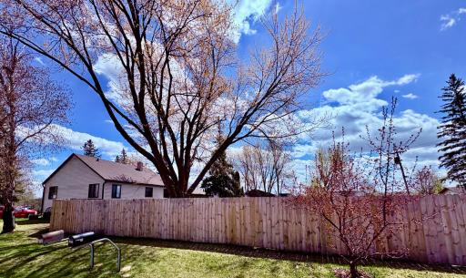 Fenced in back yard!