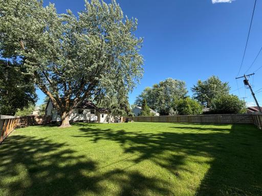 Back yard- fenced in