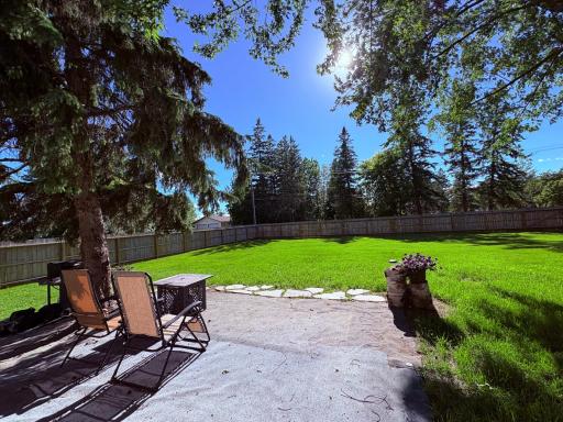 BIG back yard