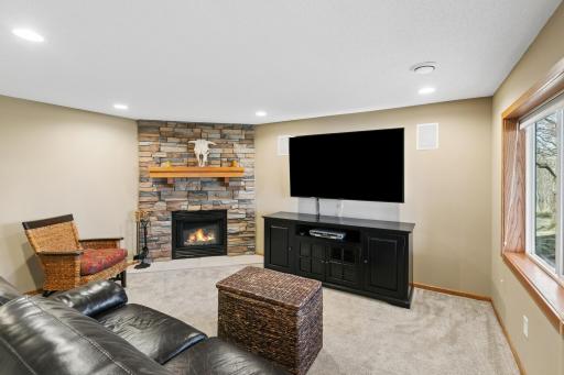 Lower Level Family Room