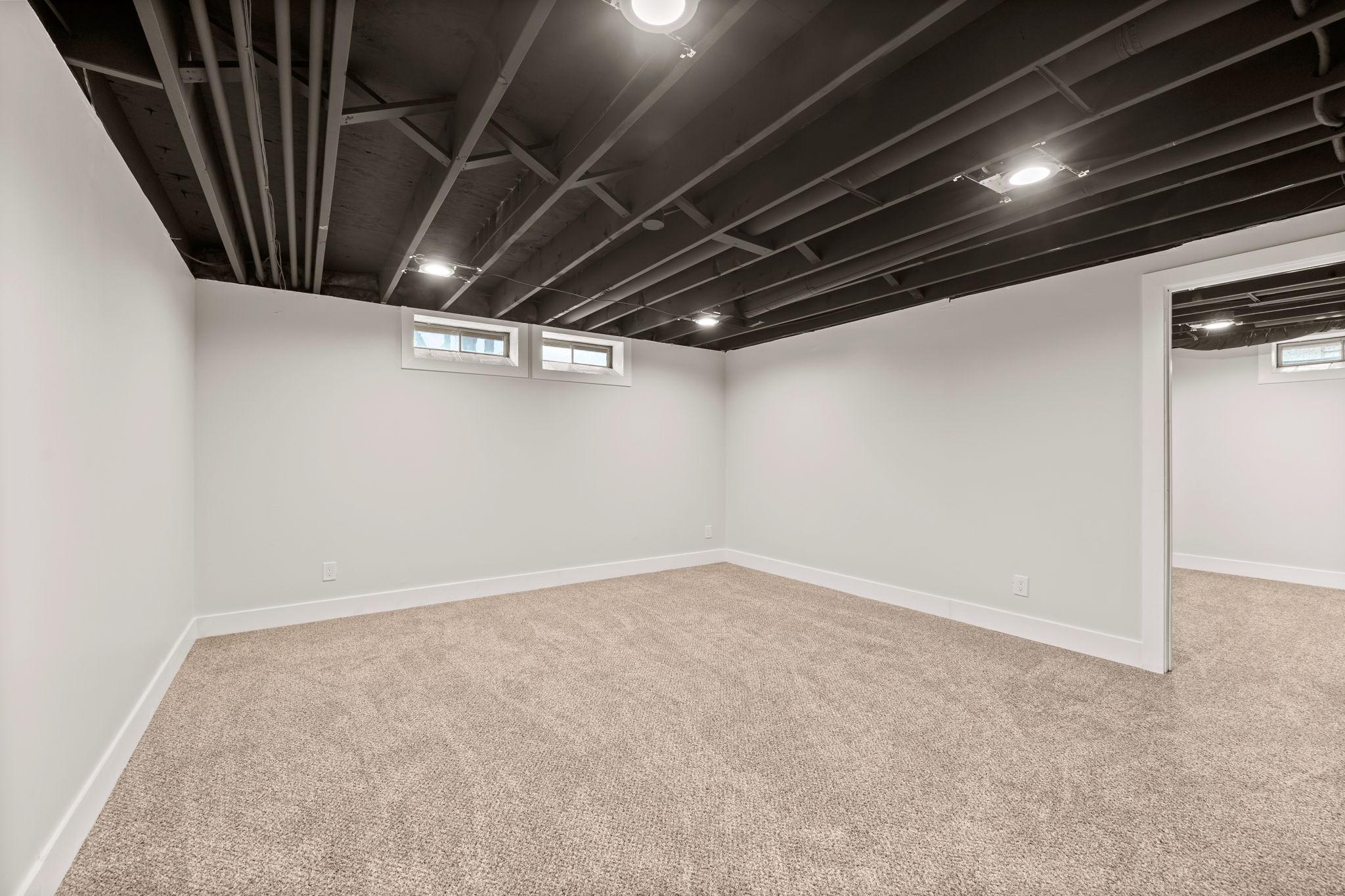 Playroom Lower Level