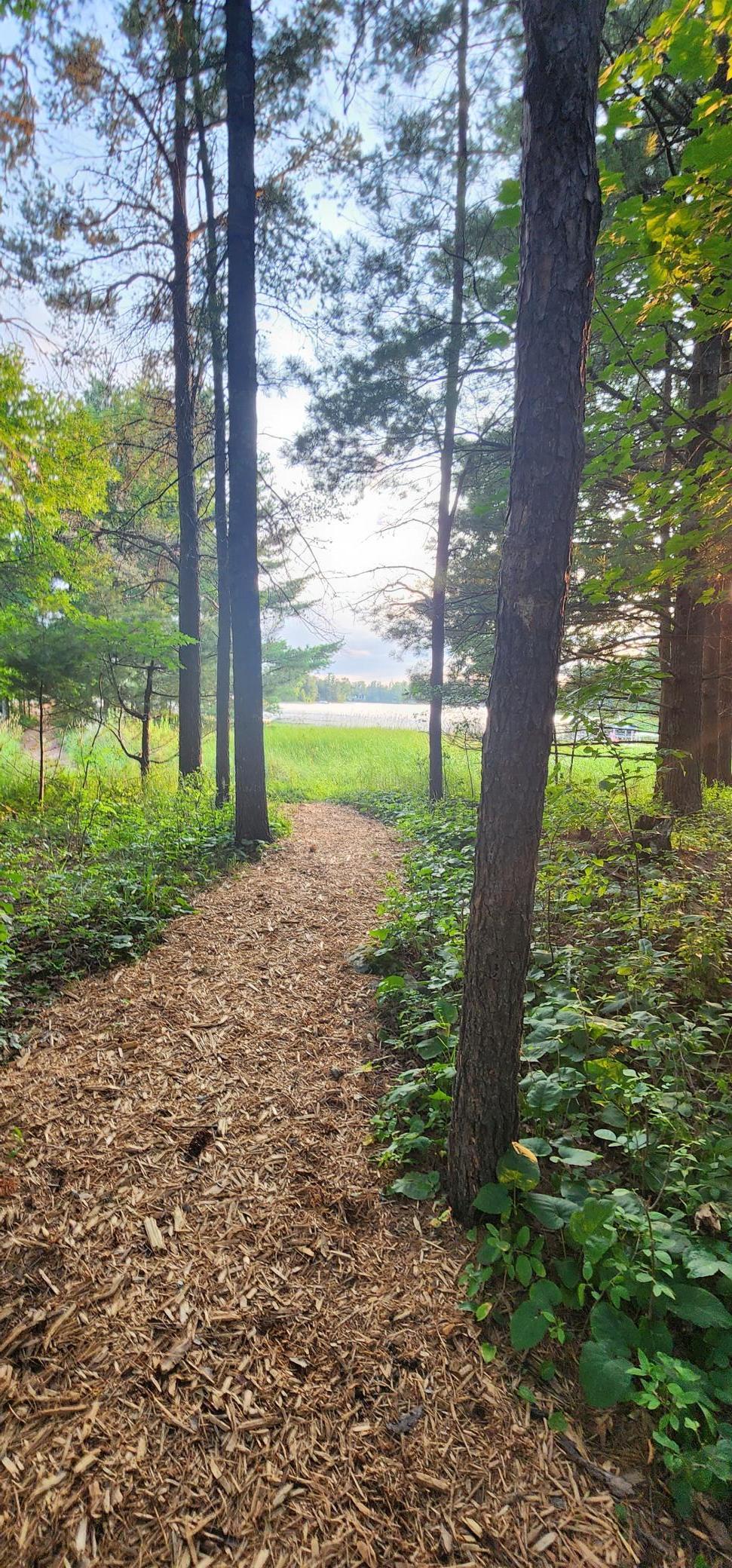 Walking path # 1.jpg