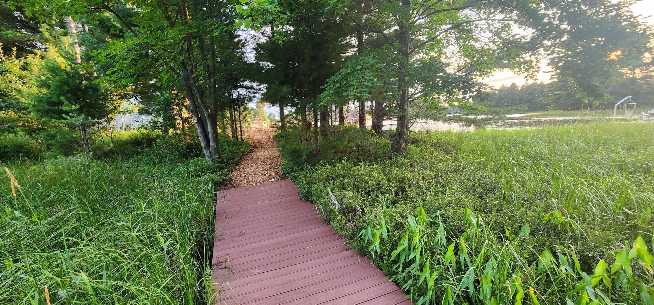 Walking path # 2.jpg