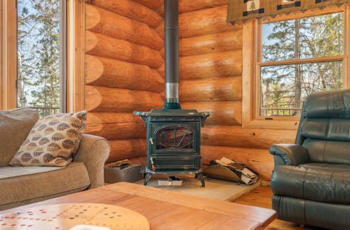 51748 Pine Point Lane, Bigfork, MN 56628