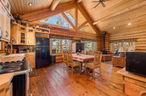 51748 Pine Point Lane, Bigfork, MN 56628