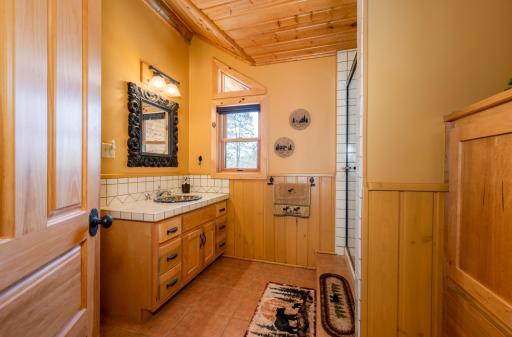 51748 Pine Point Lane, Bigfork, MN 56628