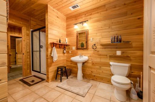 51748 Pine Point Lane, Bigfork, MN 56628