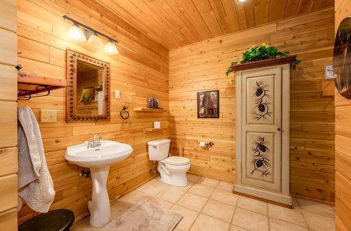 51748 Pine Point Lane, Bigfork, MN 56628