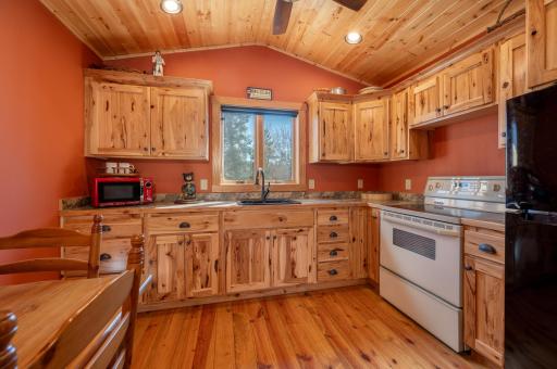 51748 Pine Point Lane, Bigfork, MN 56628