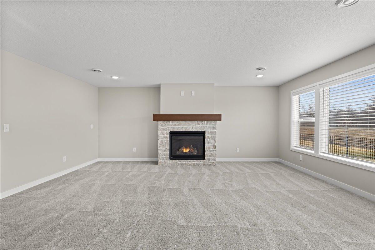 Large lower level walk out Family room with gas fireplace