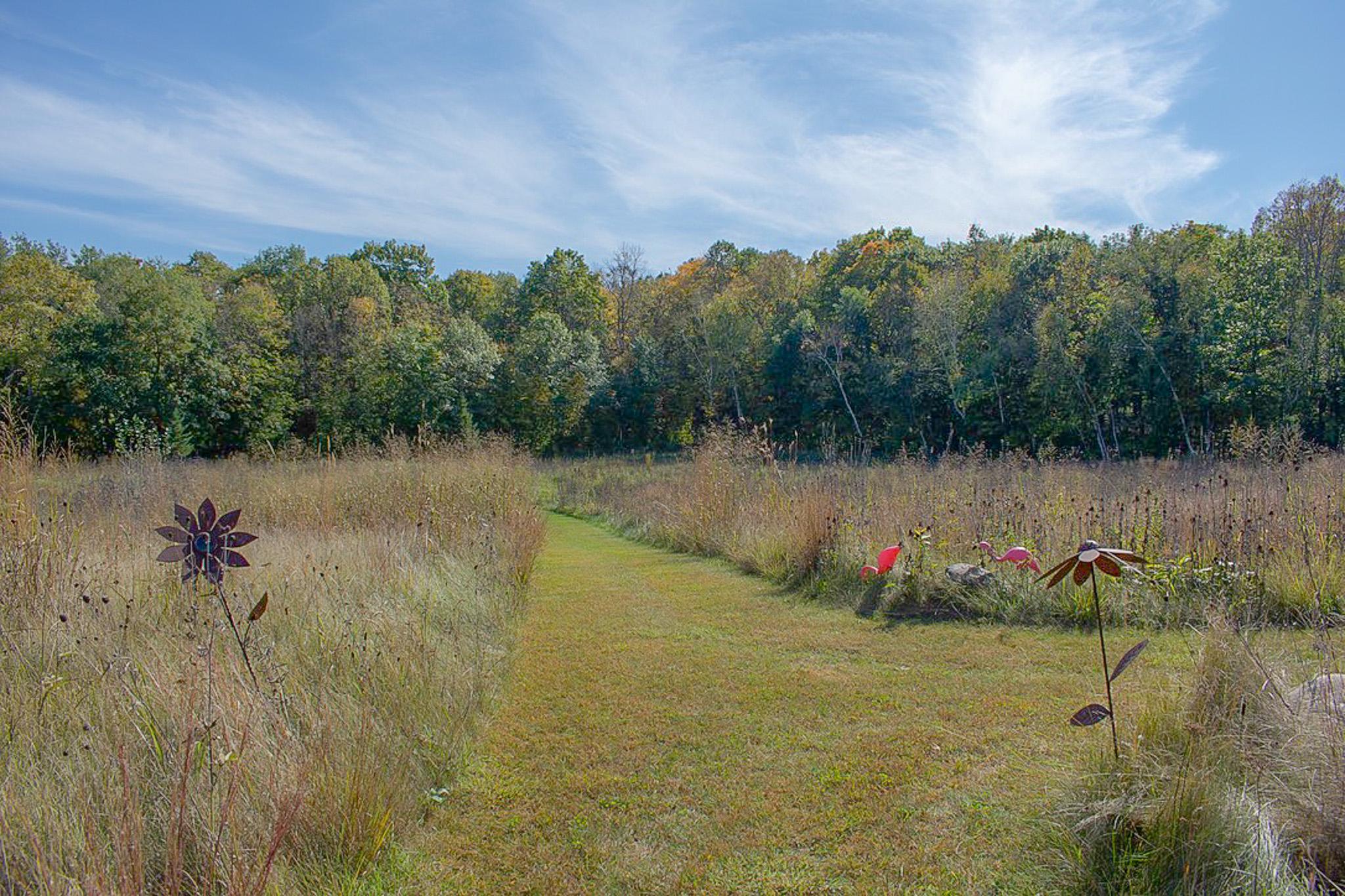 Many mowed trails for enjoying the wildlife
