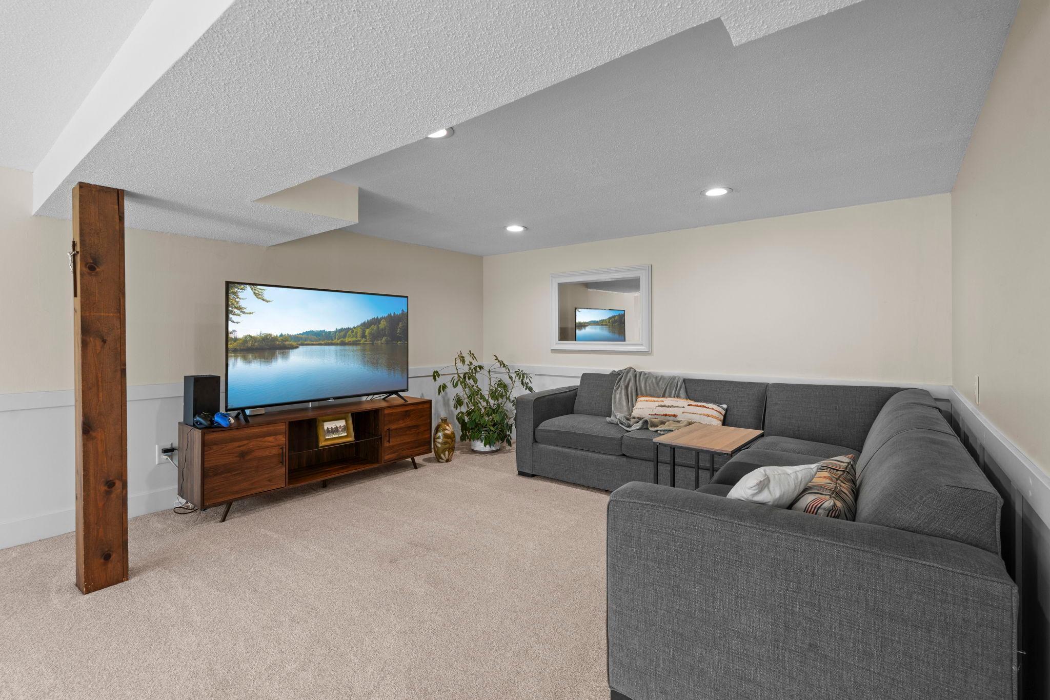 Family room - Lower level