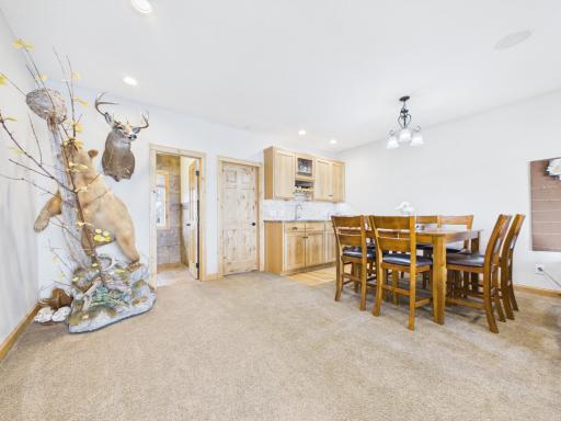 25797 Silver Beach Road, Glenwood, MN 56334