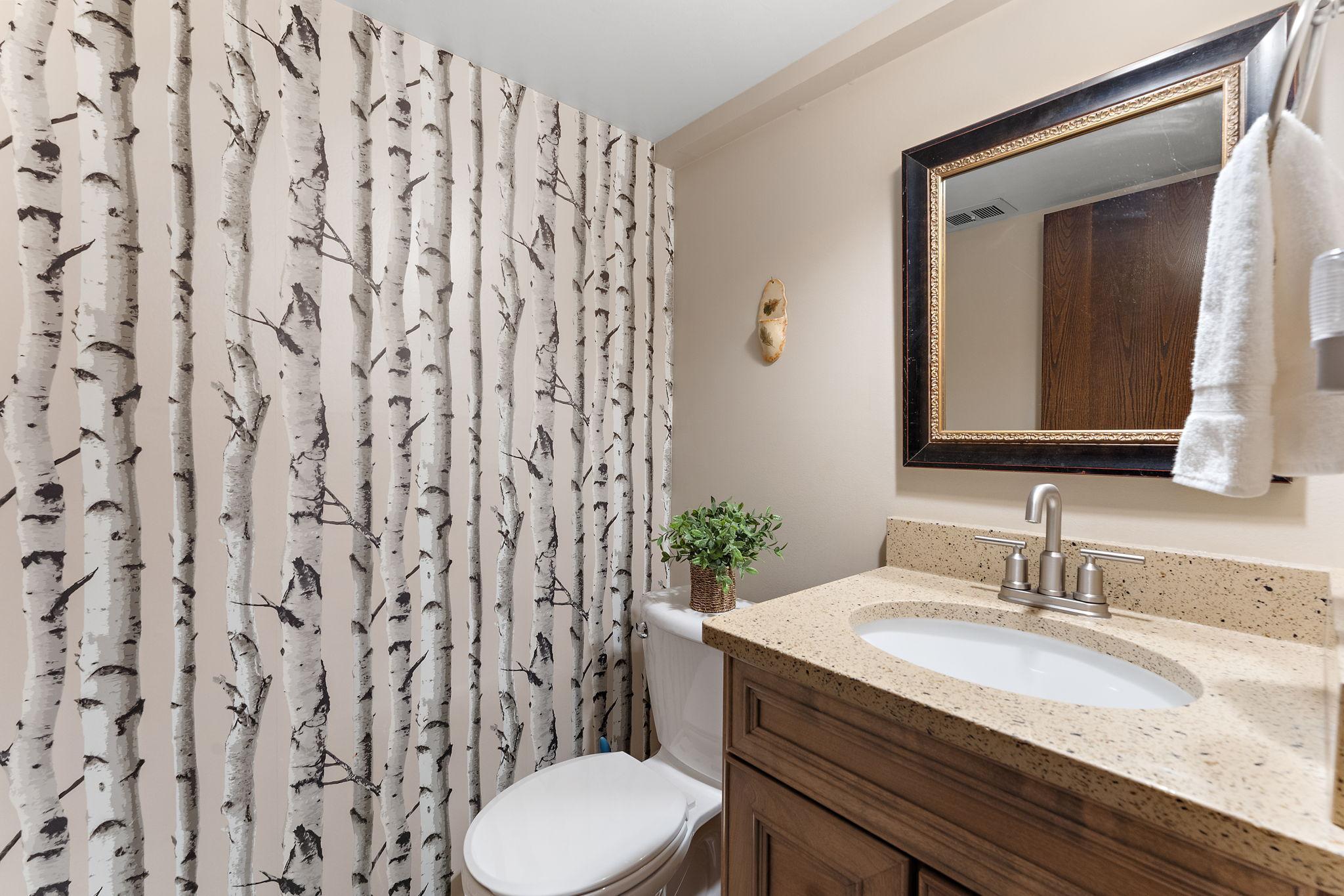 Lower Level 1/2 Bath