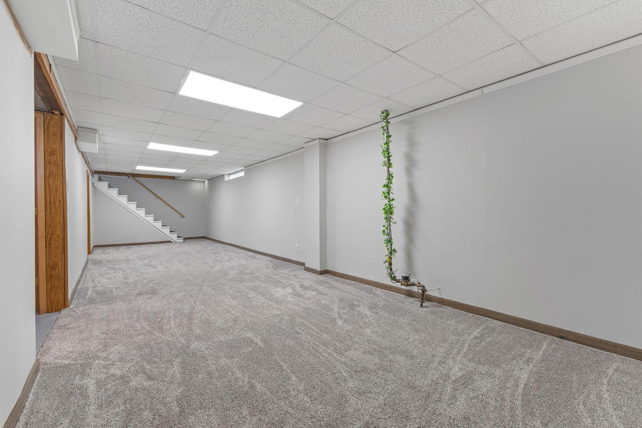 Lower level rec room