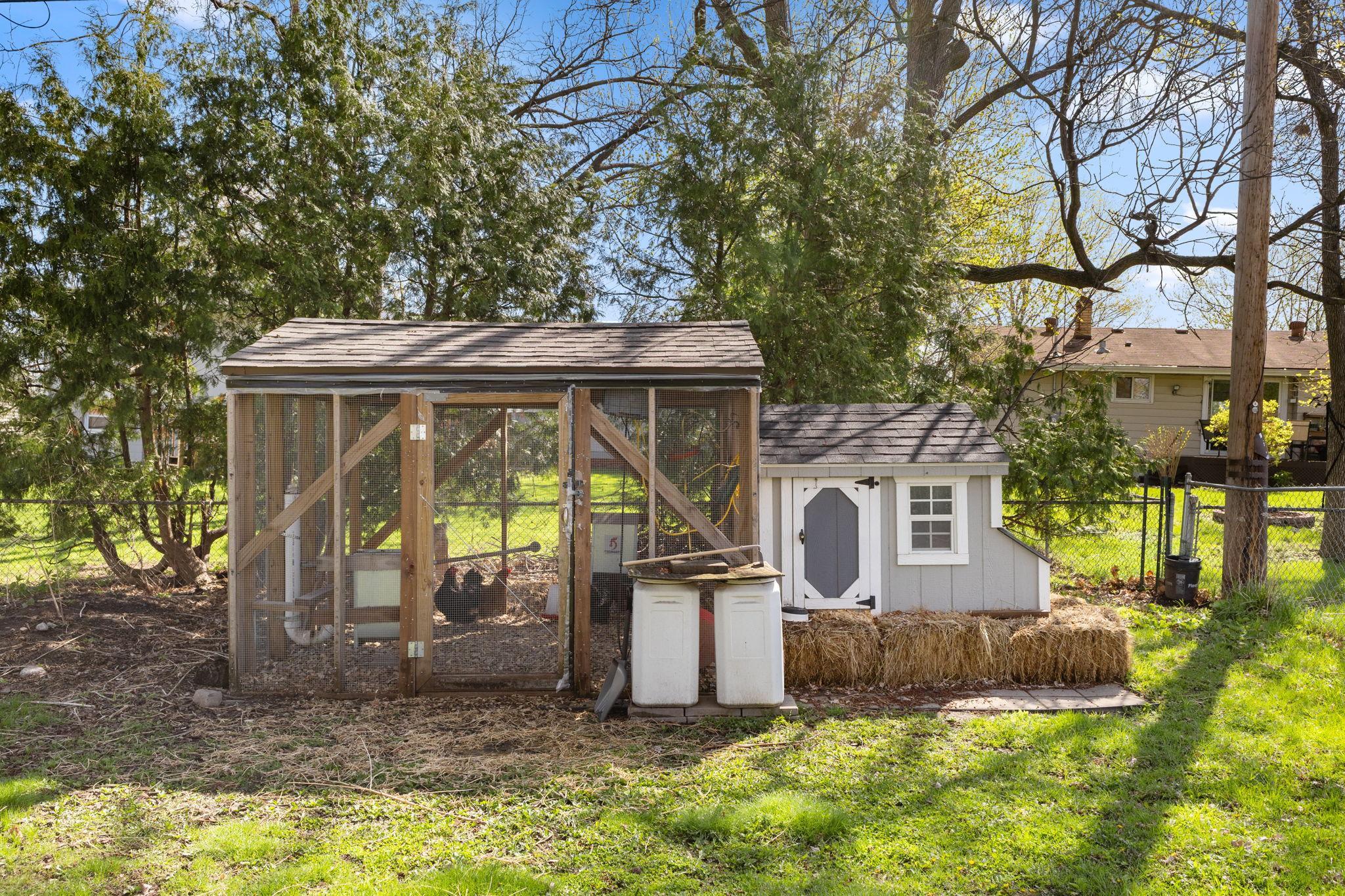 Chicken coop to stay!
