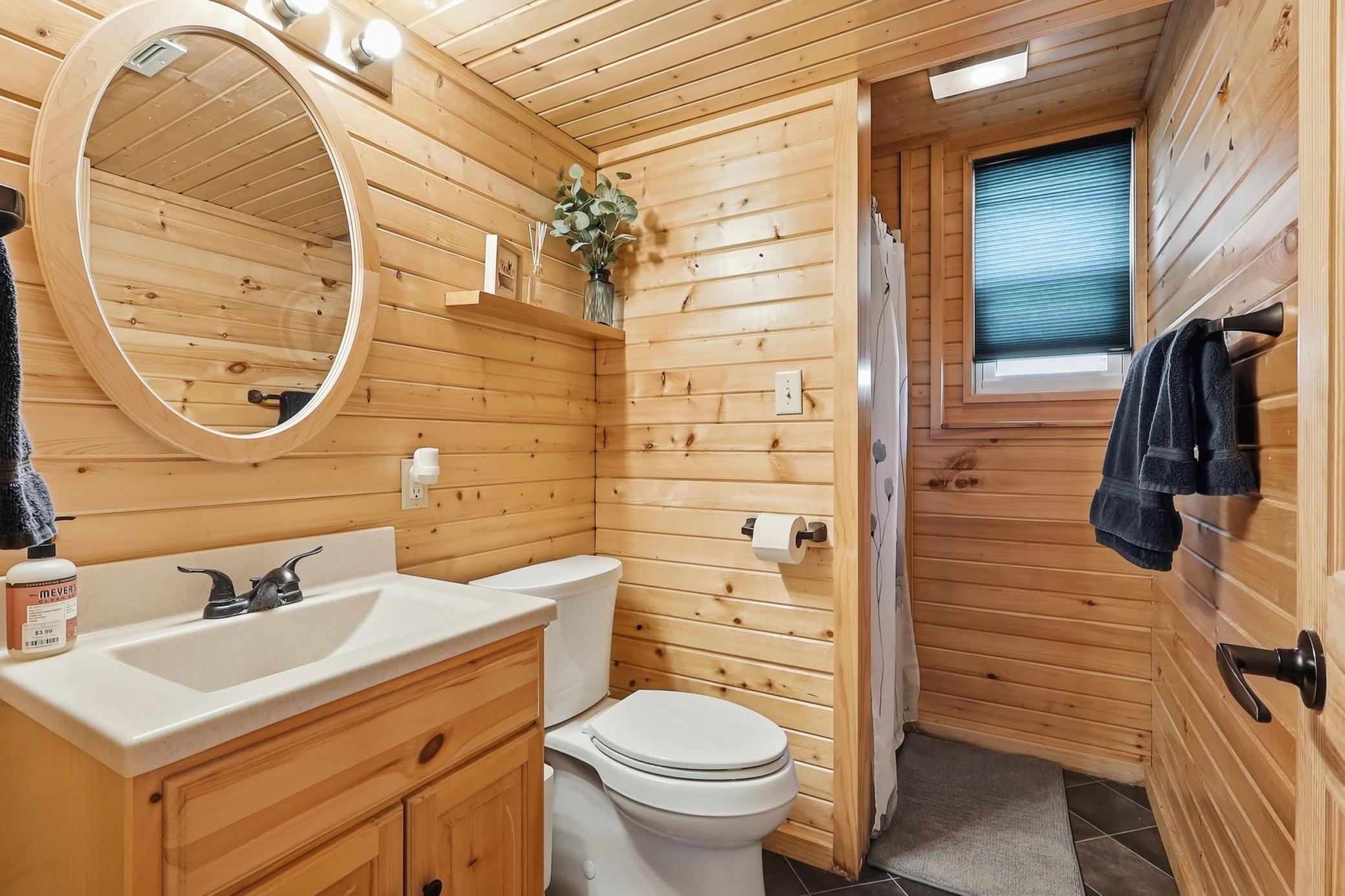 Lower level bathroom