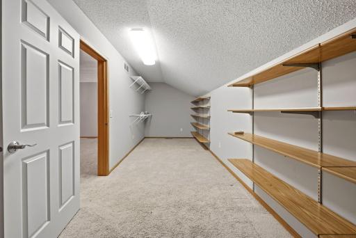 13872 Autumnwood Court, 3001, Rosemount, MN 55068
