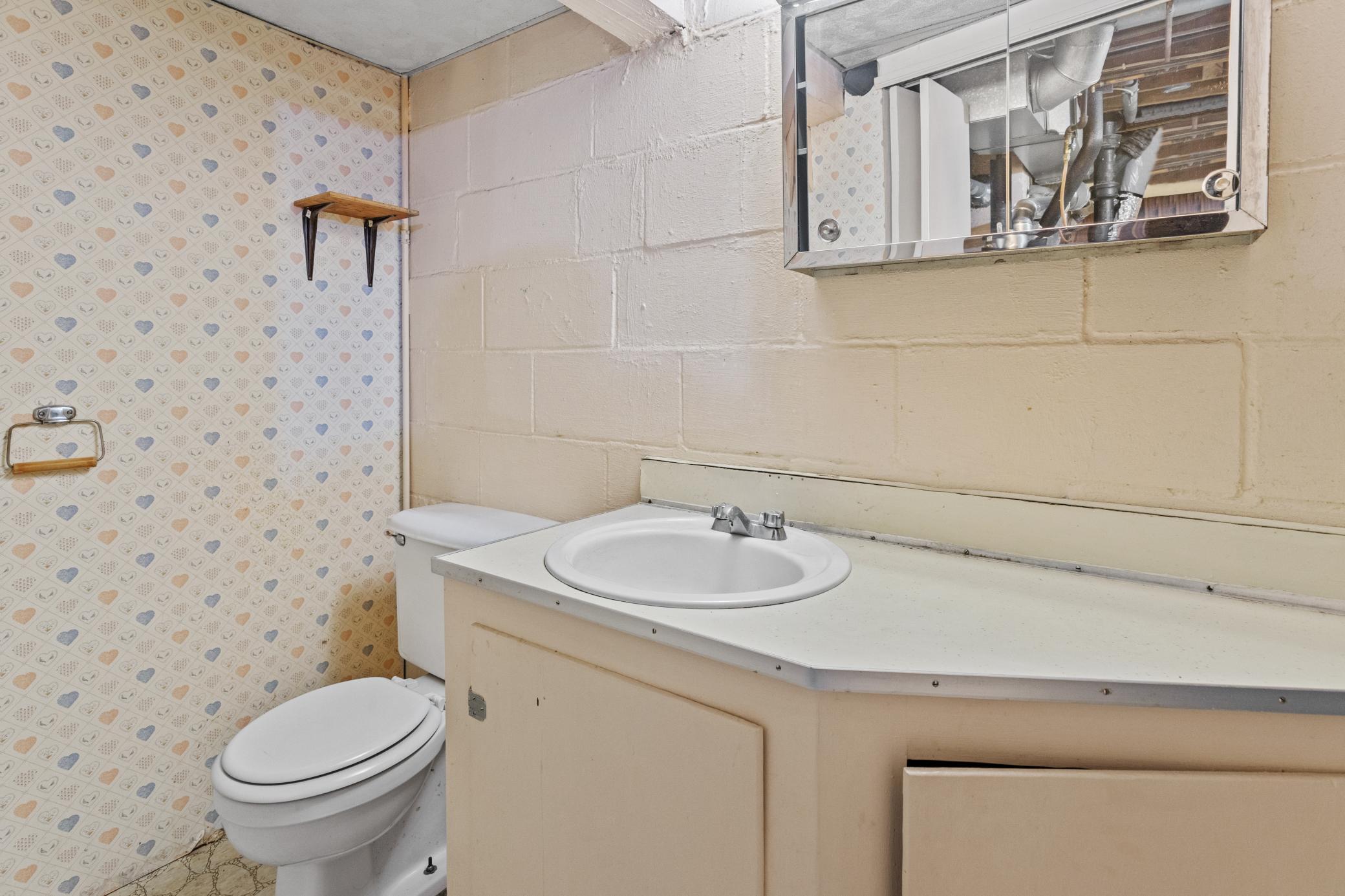 Bathroom 2 Lower Level