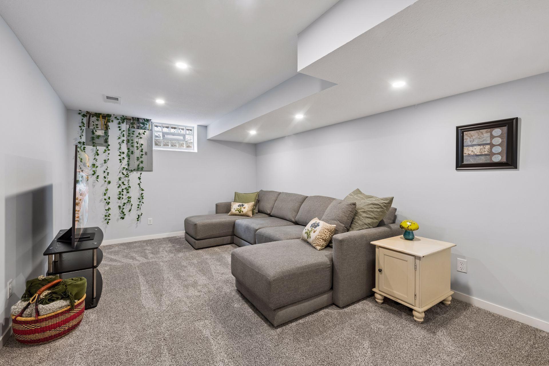 Lower-Level Family room