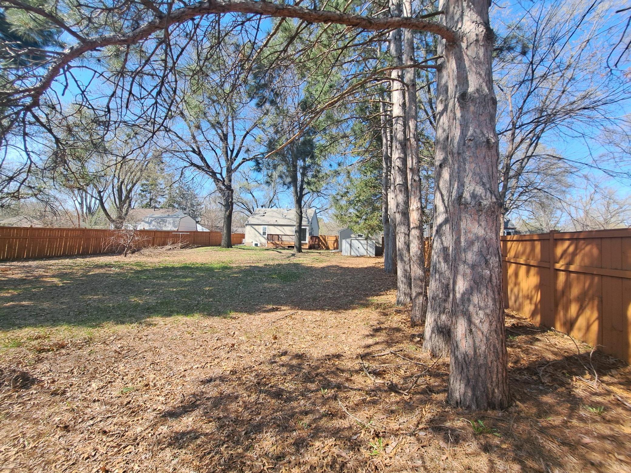 Backyard fully fenced