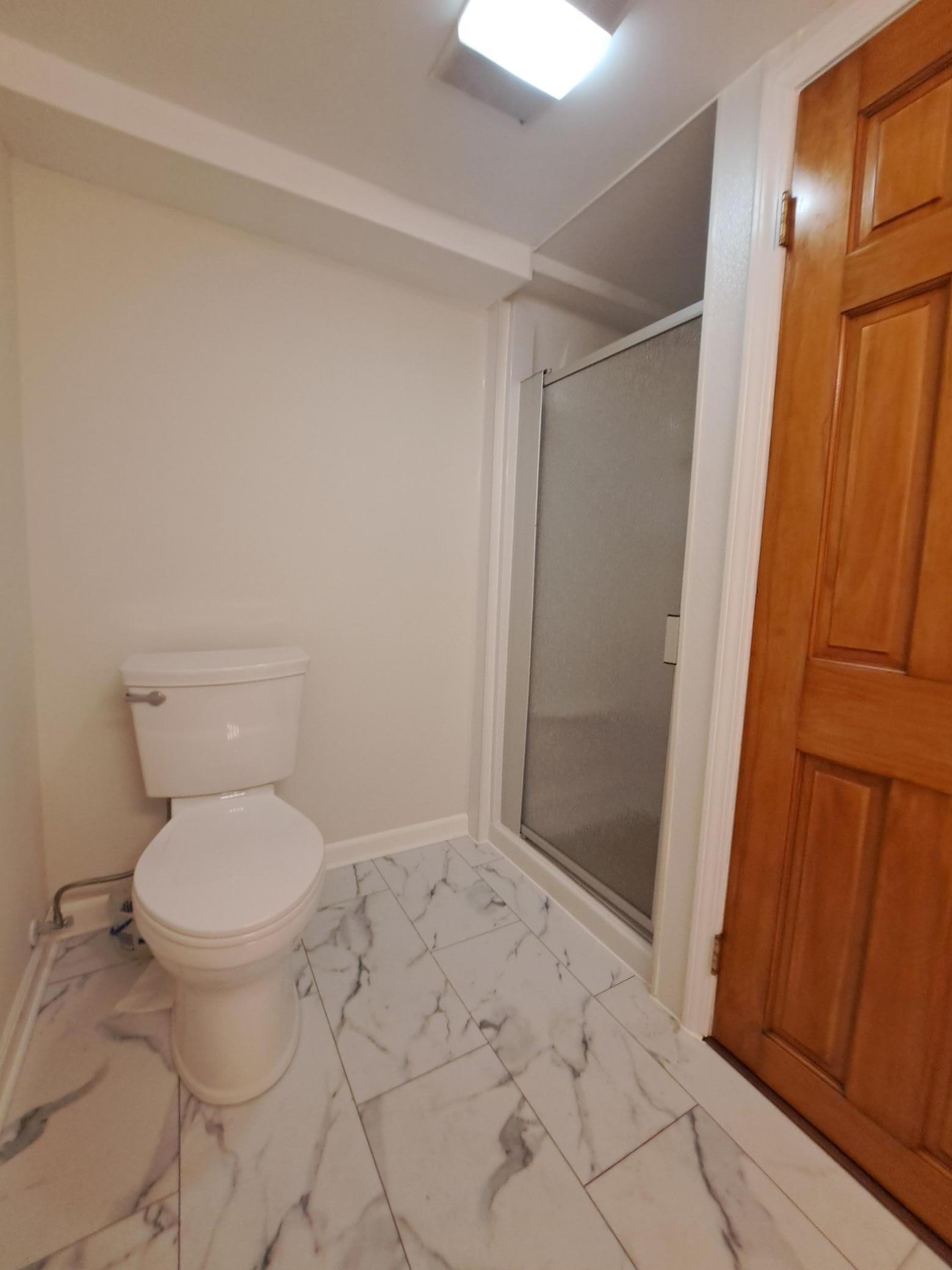 lower level bath shower view