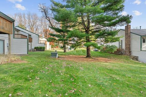 13573 Everton Avenue, Saint Paul, MN 55124