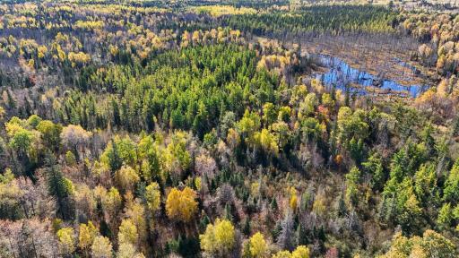 3451 Drummond Grade, Two Harbors, MN 55616