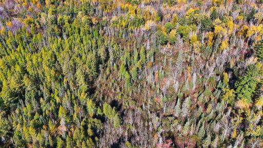 3451 Drummond Grade, Two Harbors, MN 55616