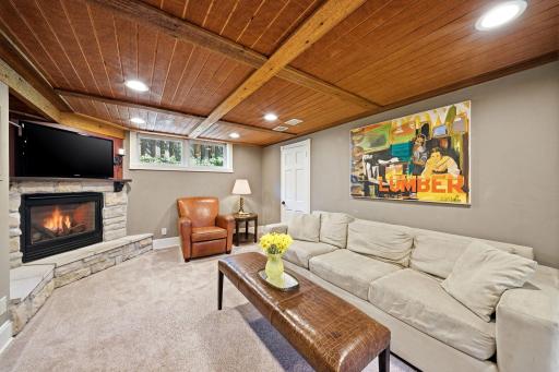 133 Park Lane, Hopkins, MN 55343