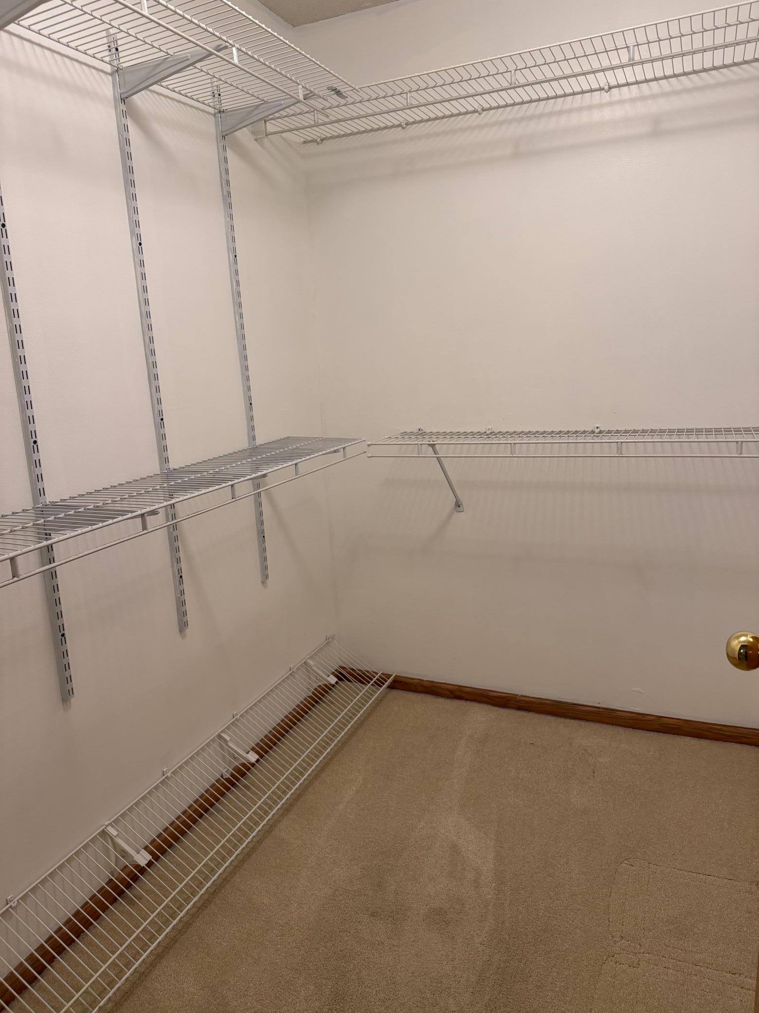 Large walk-in closet / Primary