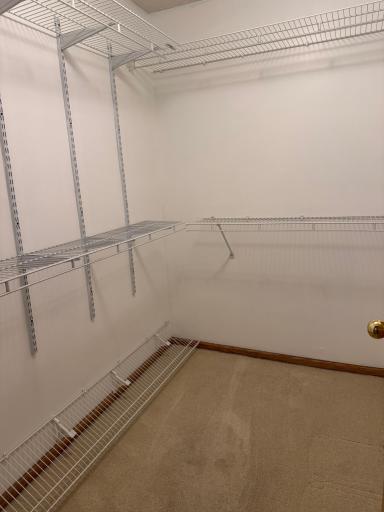 Large walk-in closet / Primary