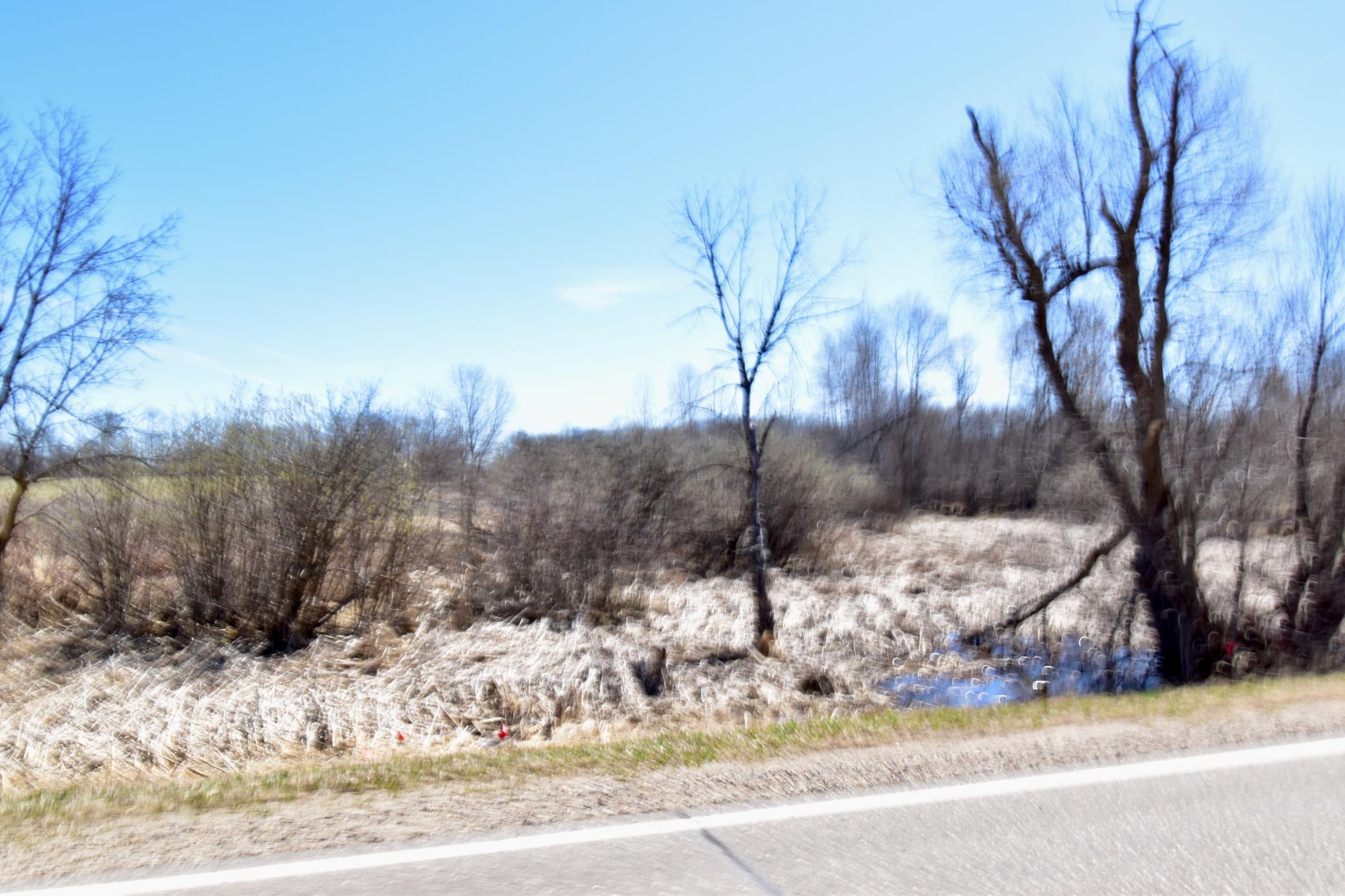 TBD Cty Road 78 SE Osakis, MN 56360 21 acres (39).jpeg