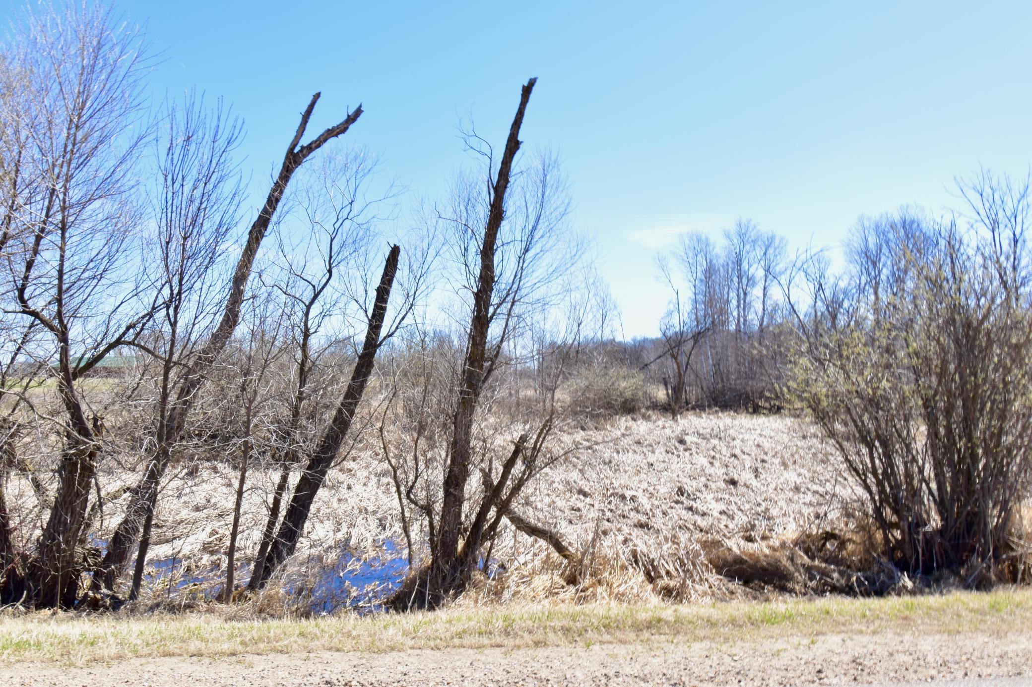 TBD Cty Road 78 SE Osakis, MN 56360 21 acres (40).jpeg