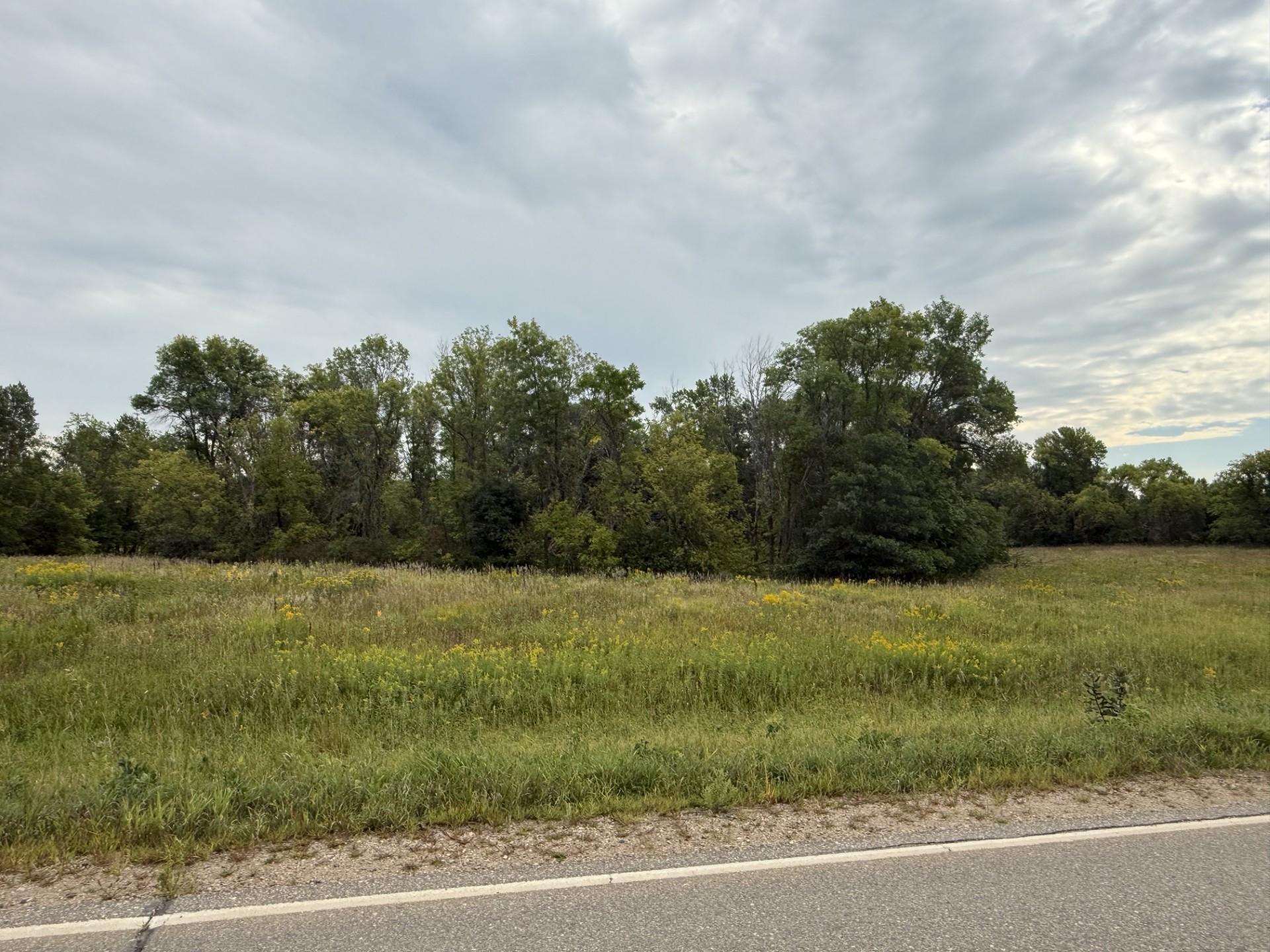 TBD Cty Road 78 SE Osakis, MN 56360 21 acres (45).jpeg