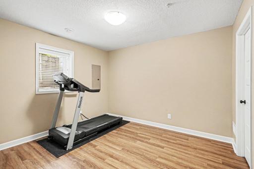 4th bedroom (basement)