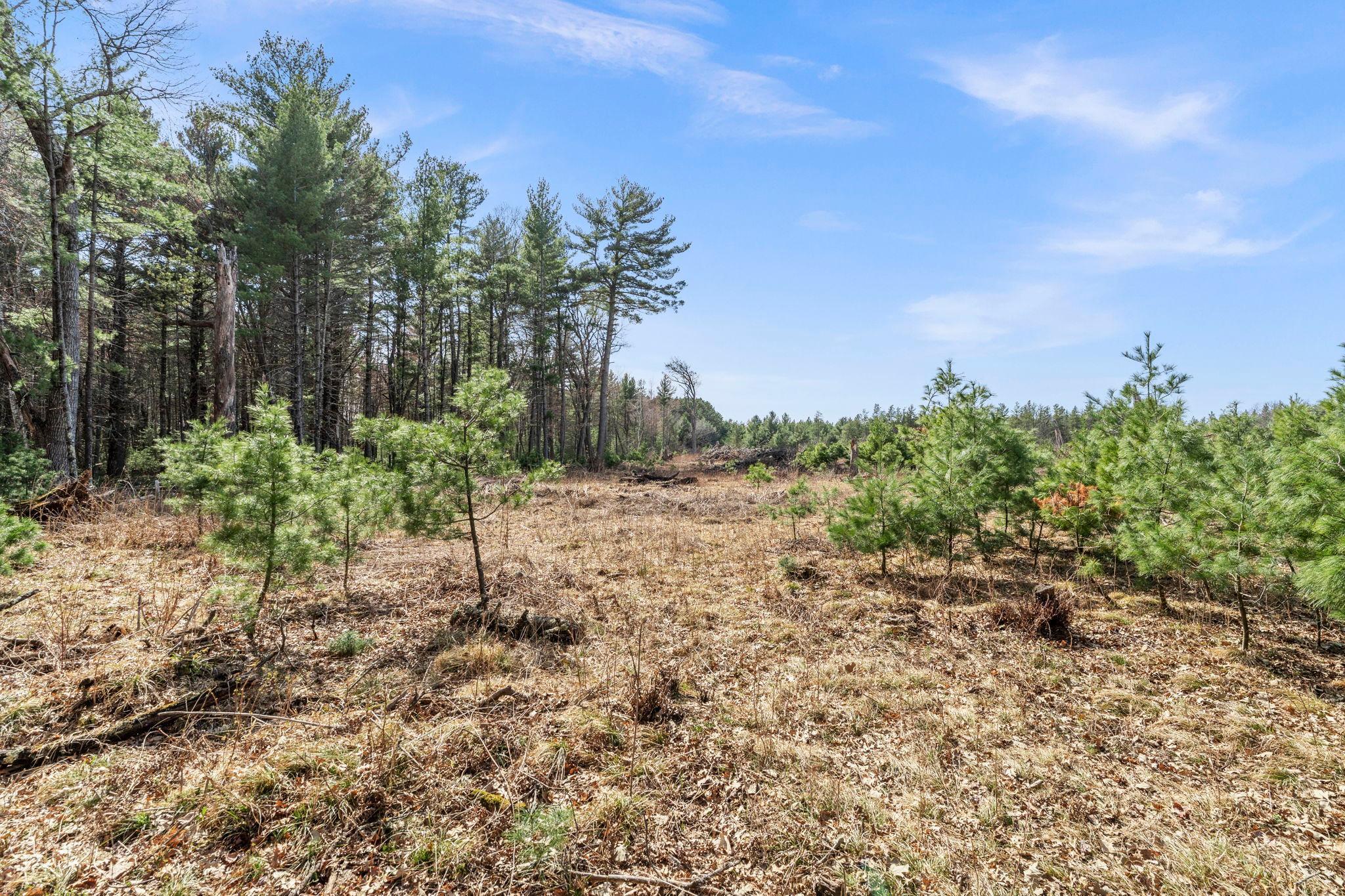 9-web-or-mls-401 N Russell St-43.jpg