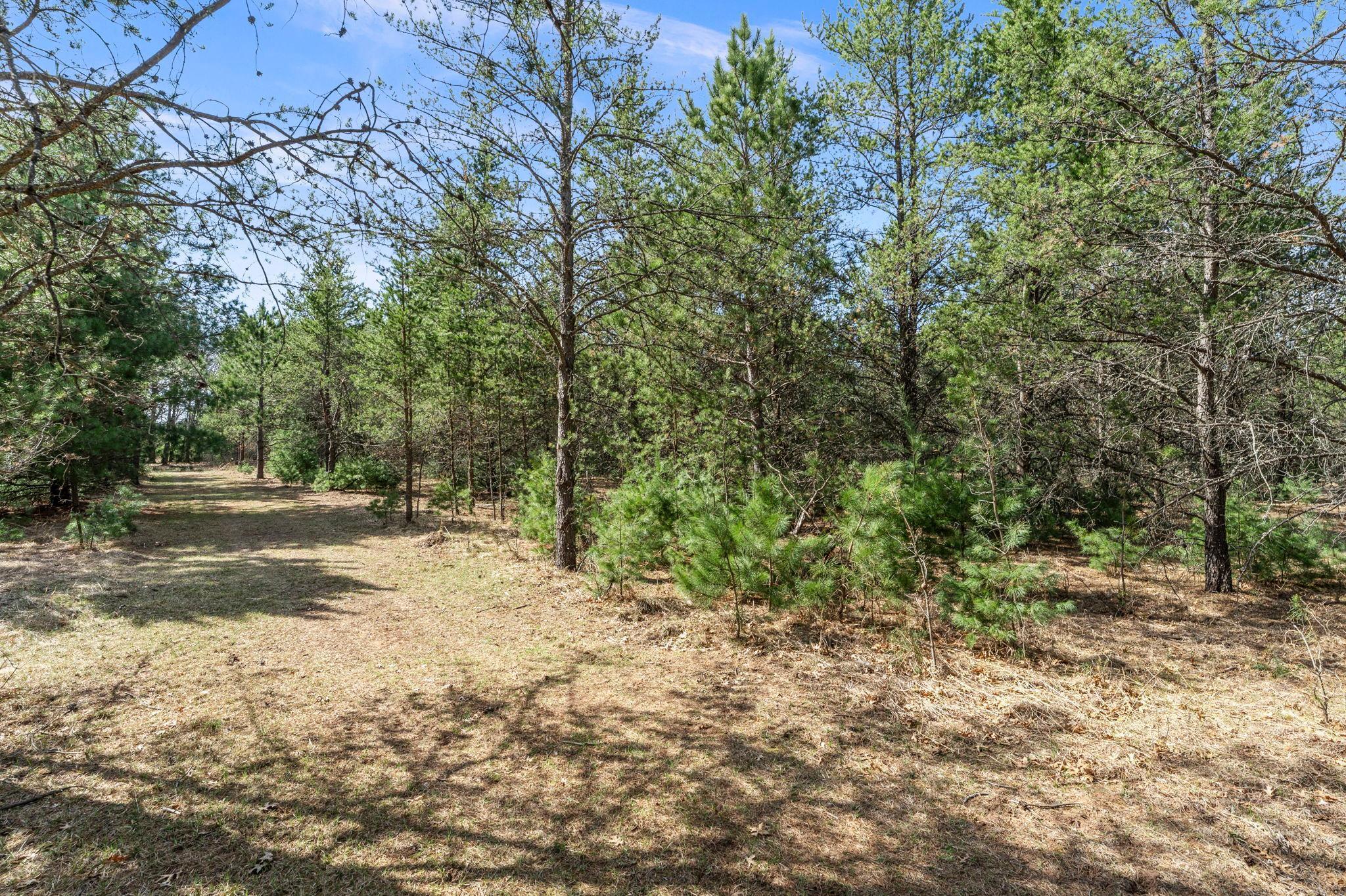 5-web-or-mls-401 N Russell St-23.jpg