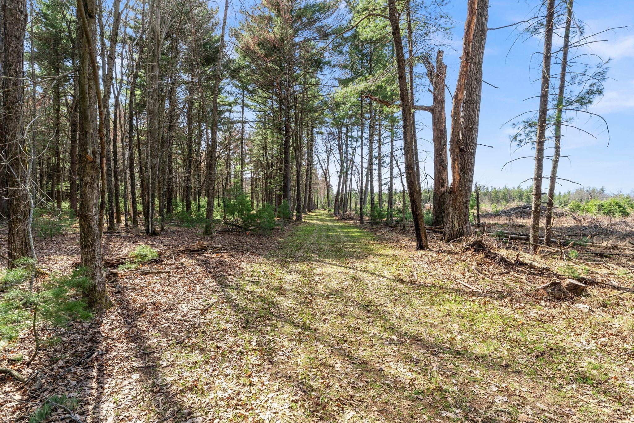 10-web-or-mls-401 N Russell St-48.jpg