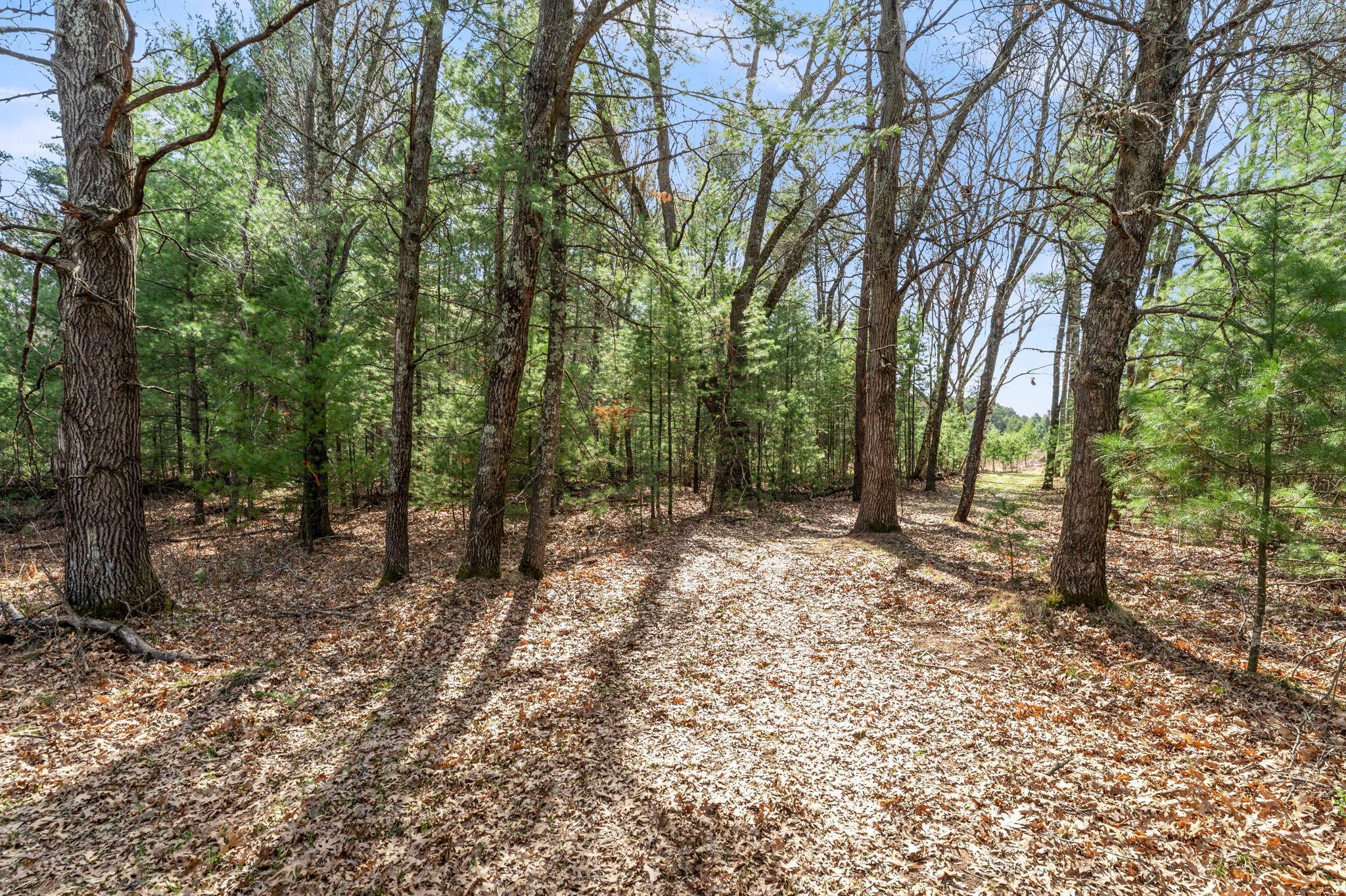 7-web-or-mls-401 N Russell St-33.jpg