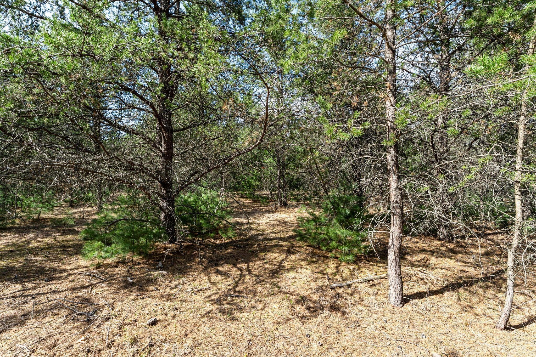 6-web-or-mls-401 N Russell St-26.jpg