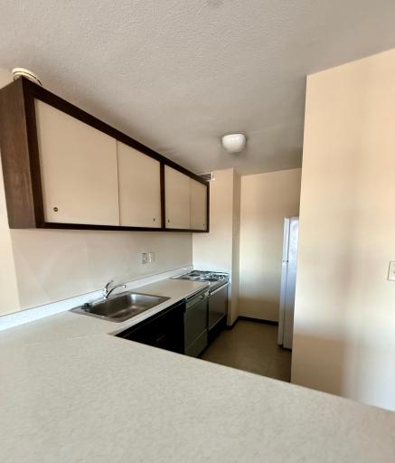 15 S 1st Street, A1613, Minneapolis, MN 55401