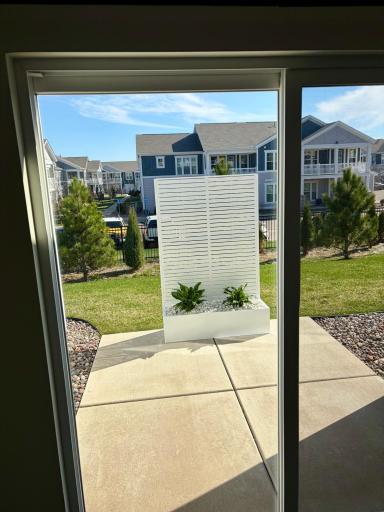 Privacy screen stays and the trees behind are growing quickly!