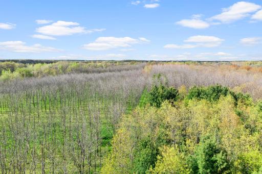 21650 Oakdale Drive, Rogers, MN 55374