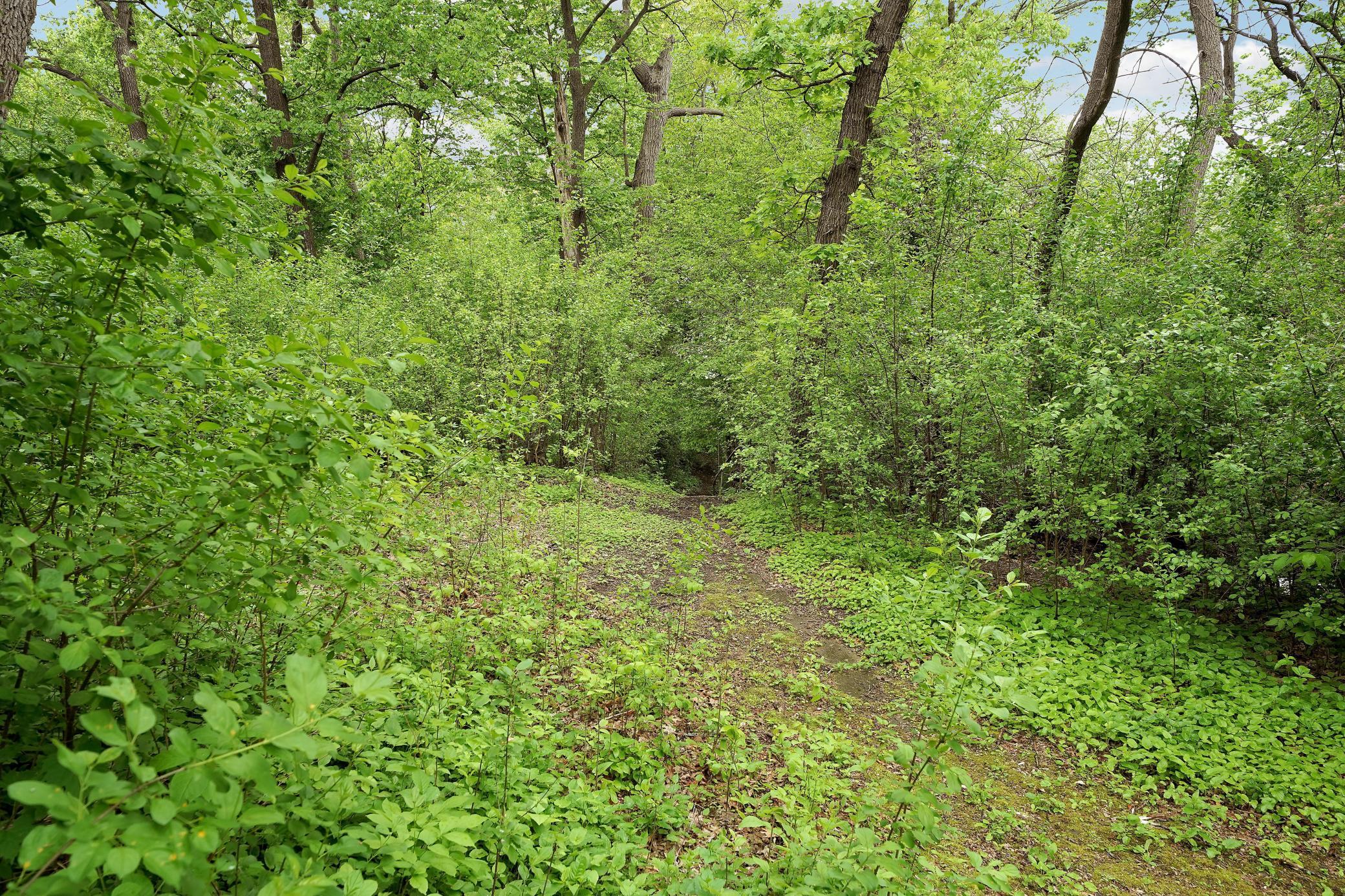 8710Photography-High-Resolution-4936-Shady-Oak-Road-Hopkins-MN-55343-41.jpg