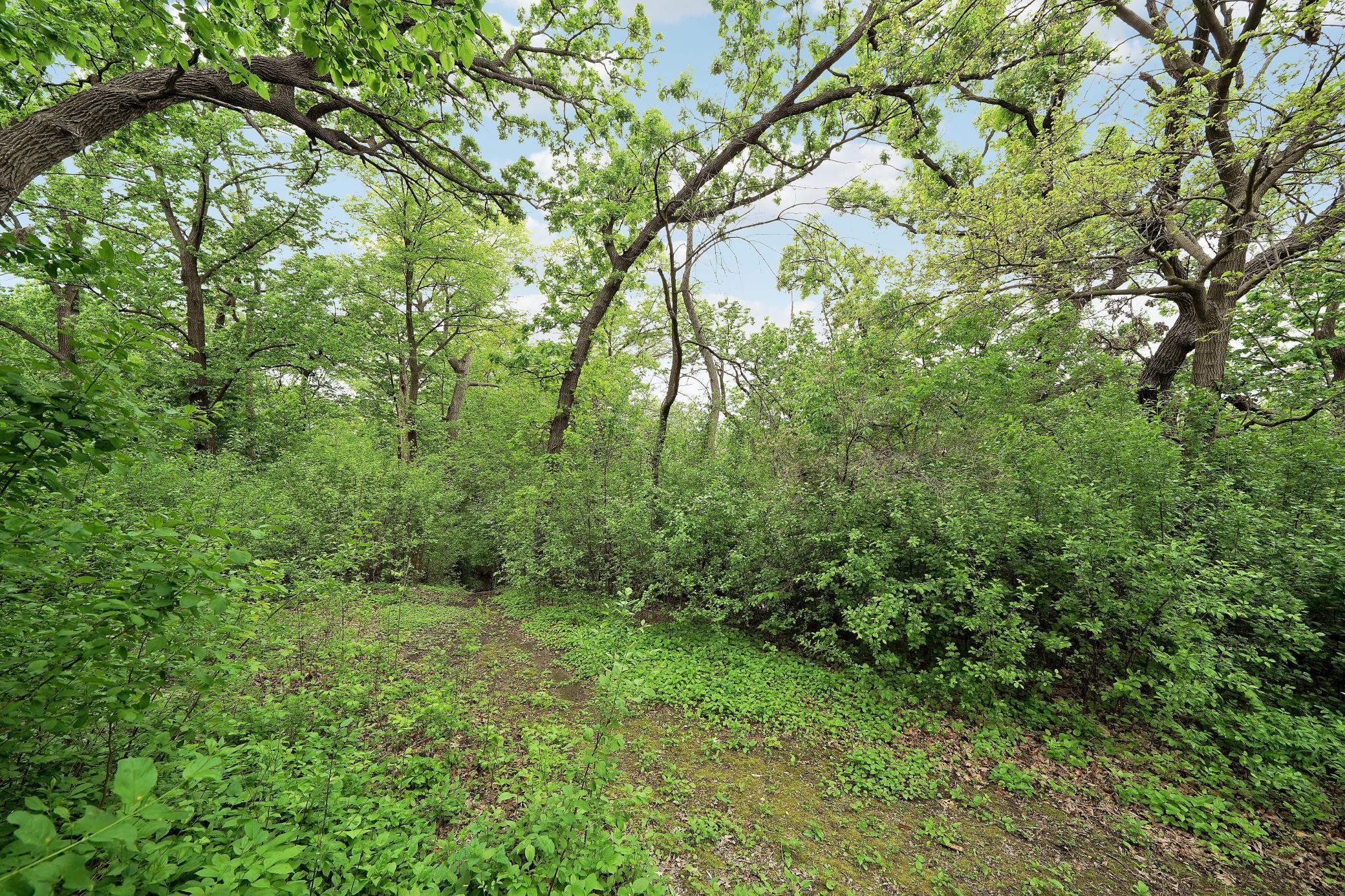 8710Photography-High-Resolution-4936-Shady-Oak-Road-Hopkins-MN-55343-42.jpg