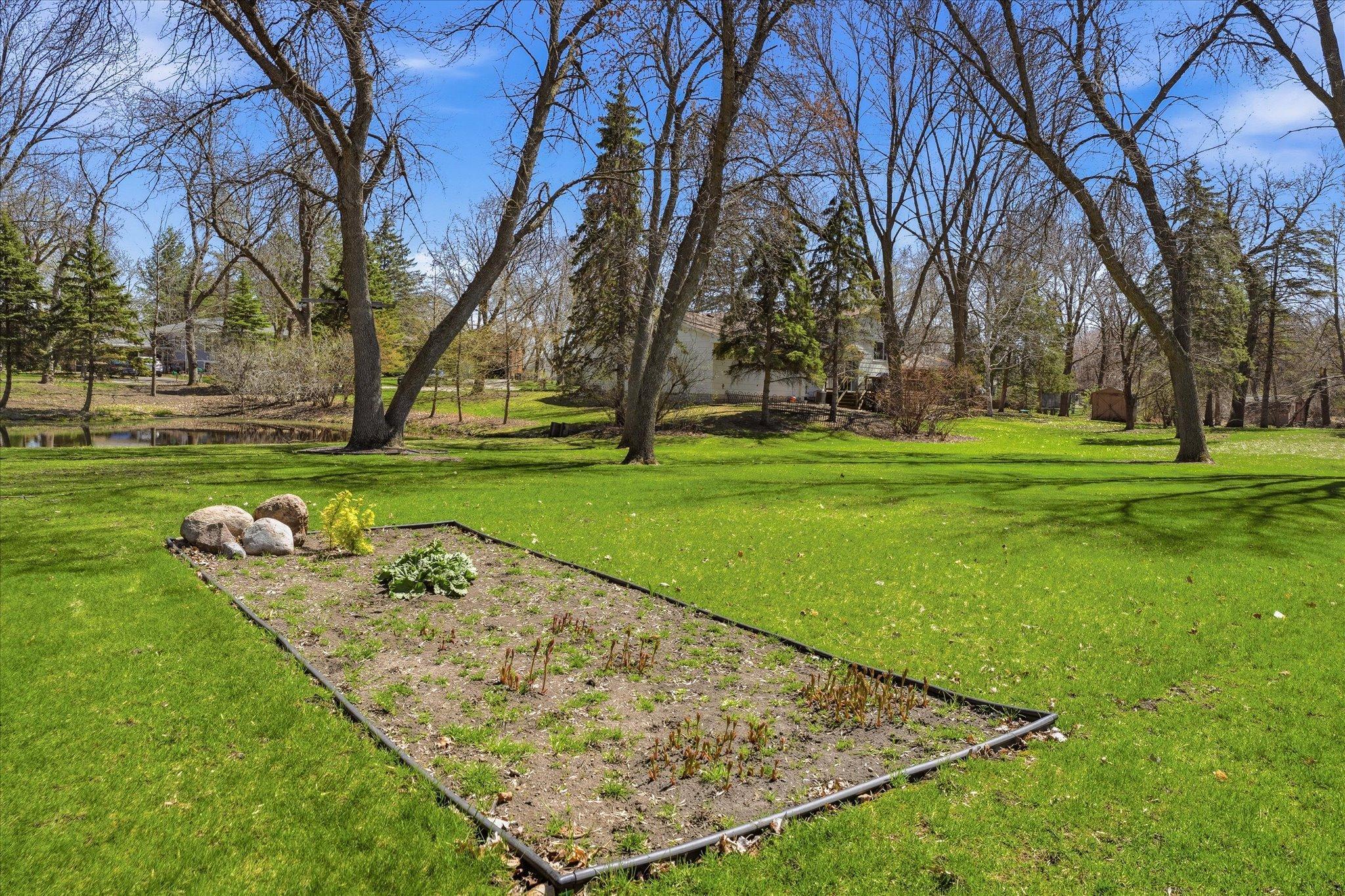Garden area in the backyard