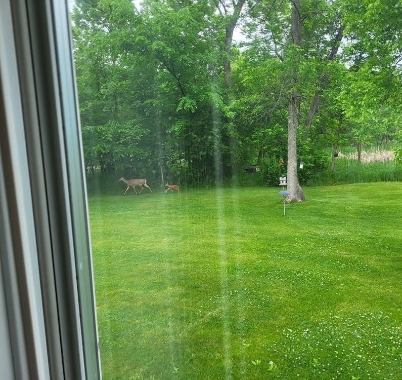 Taken this year in early June