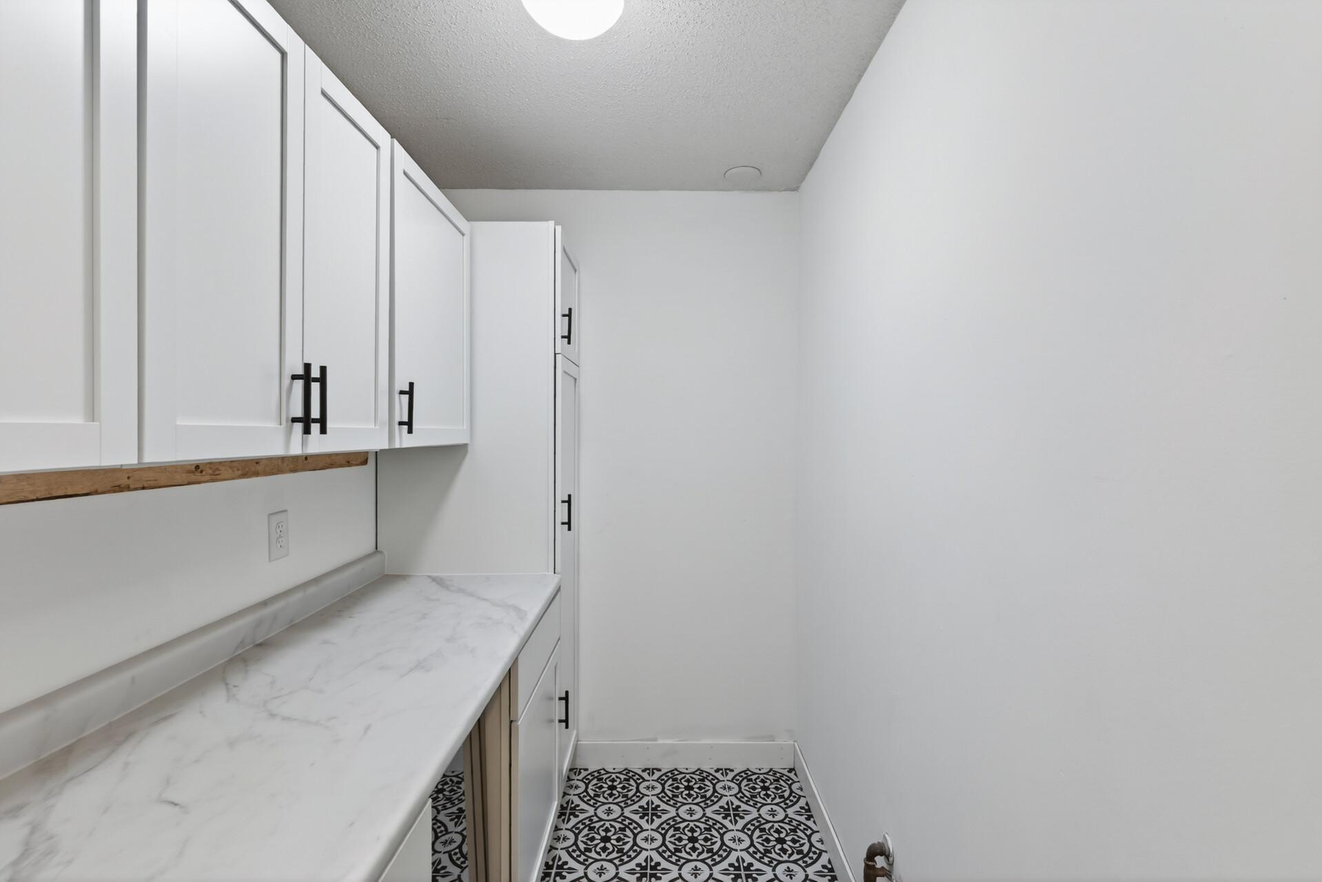 Extra storage pantry off entrance. New flooring, cabinets, & refrigerator!